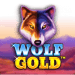 Petualangan Seru di Padang Liar Wolf Gold